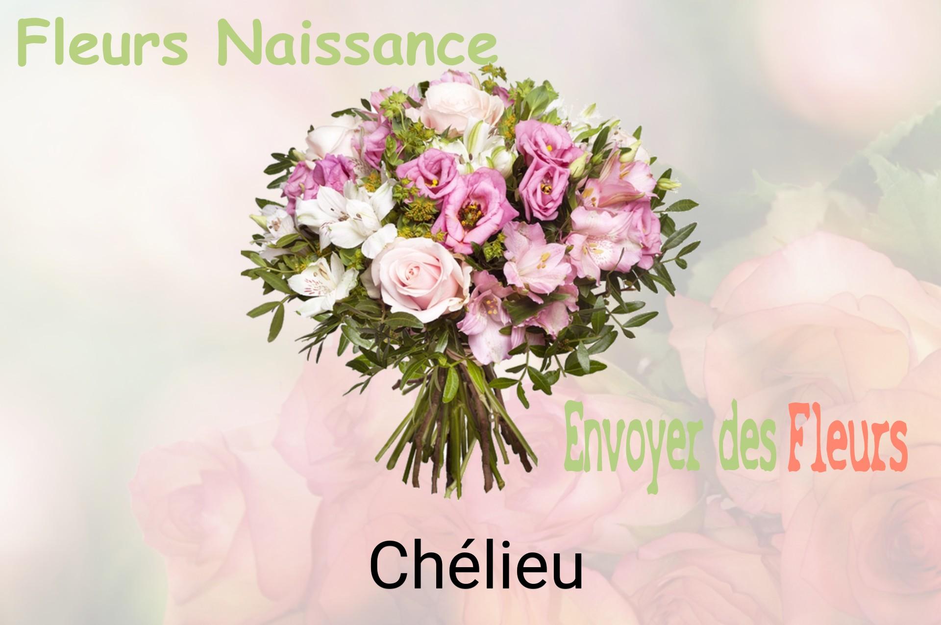 Bouquet de fleurs de naissance livré à Chélieu