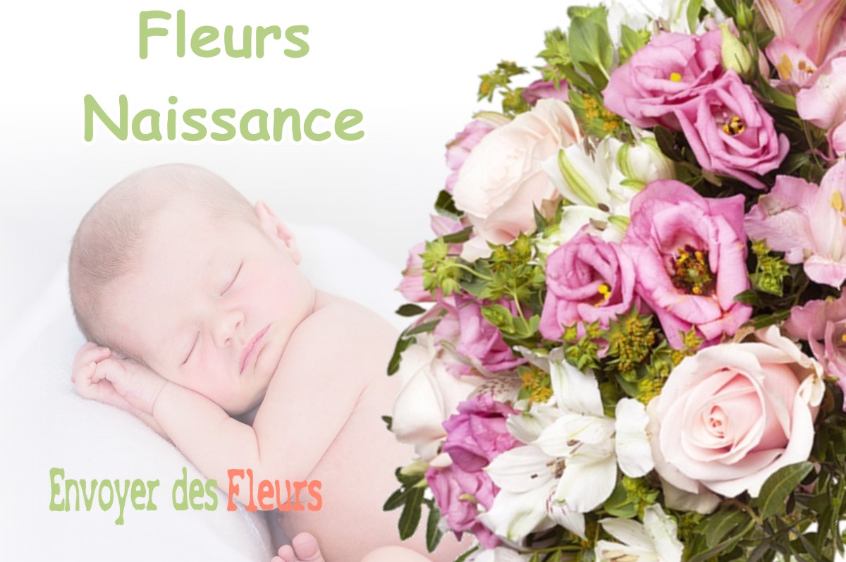 lIVRAISON FLEURS NAISSANCE à CHELIEU